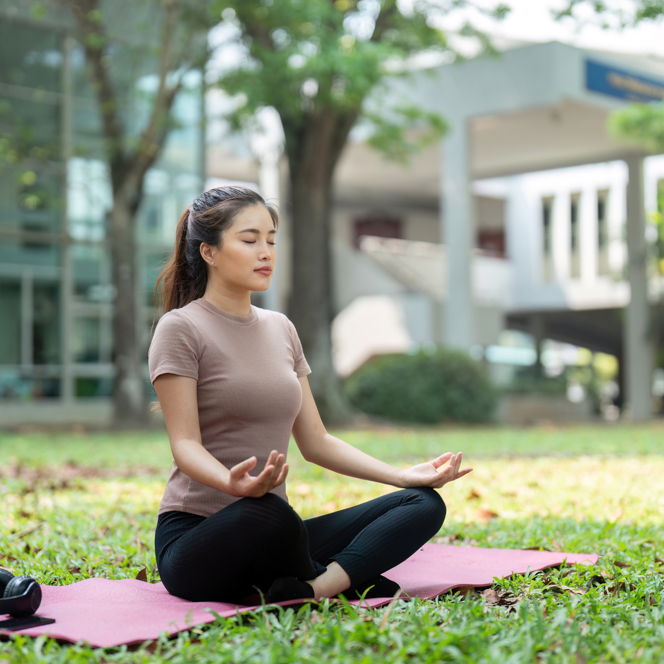 Why Mushroom Nootropics are the Future of Mental Clarity